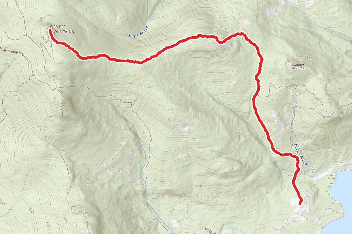 Mount Shaw via Gorilla Trail