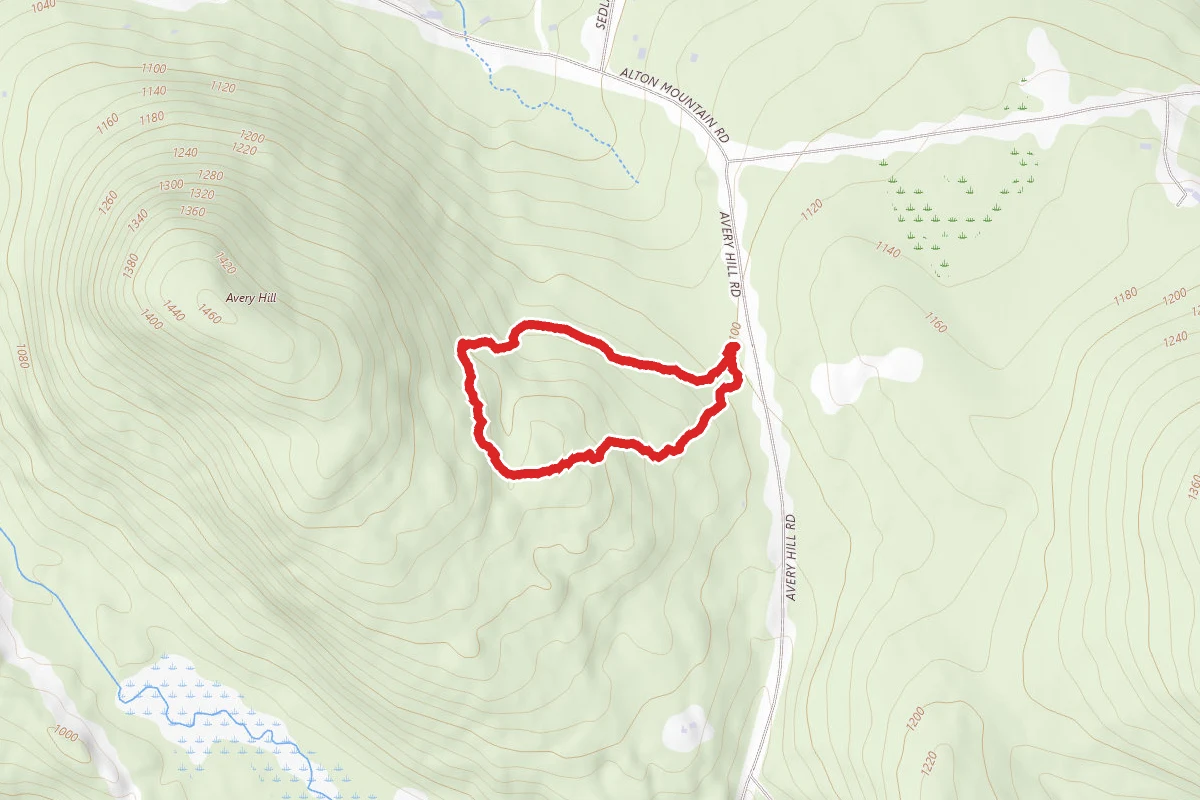 Alton Town Forest