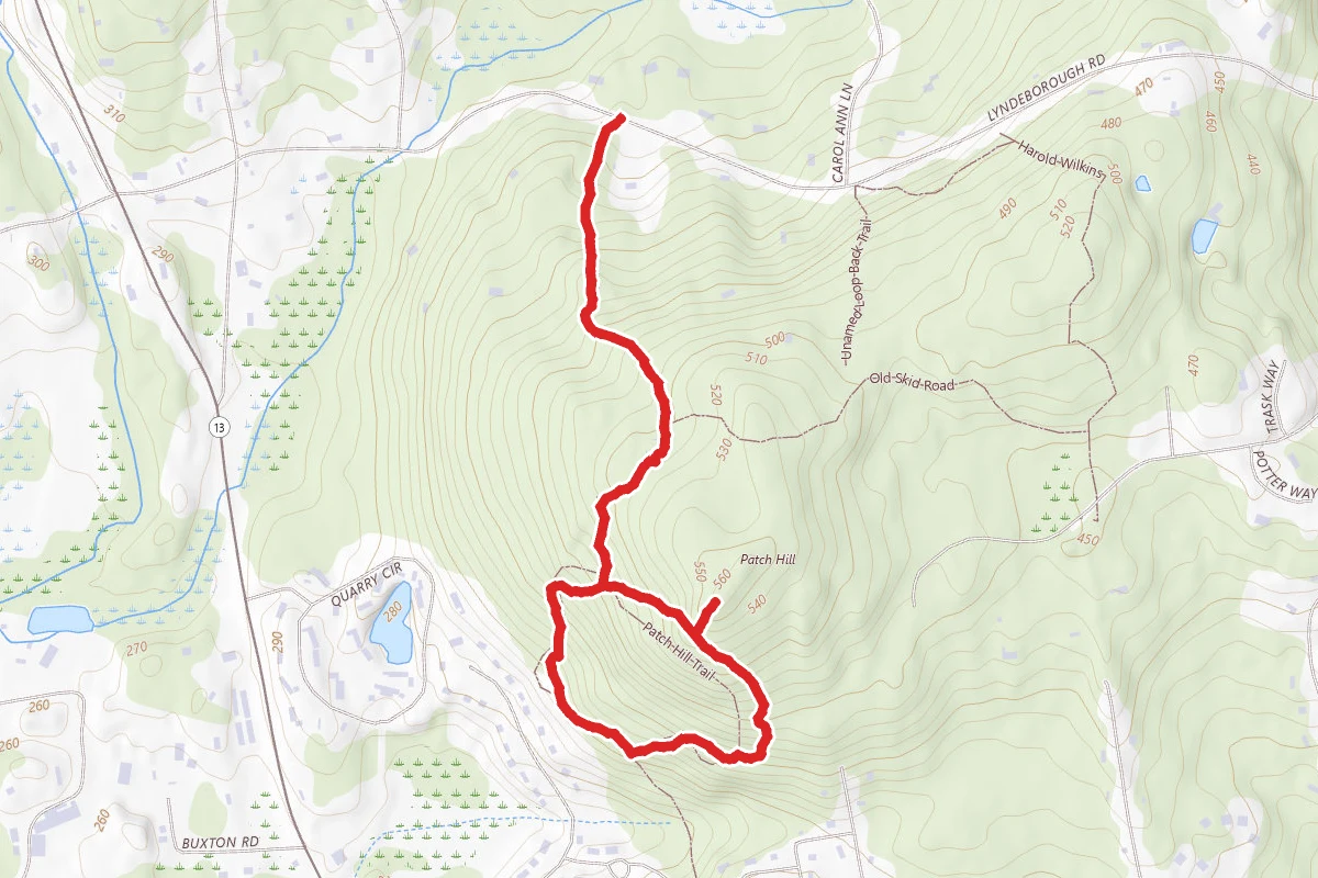 Patch Hill Loop
