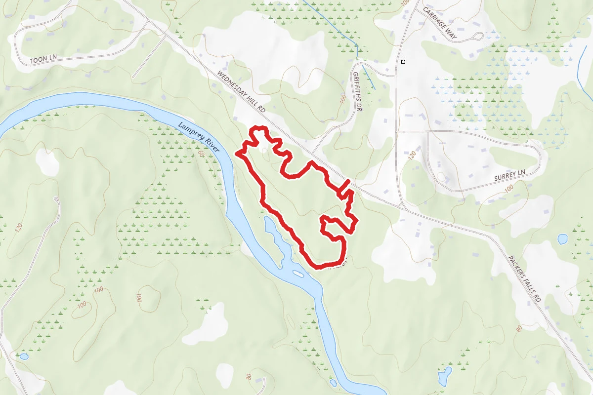 Thompson Forest Trail Loop