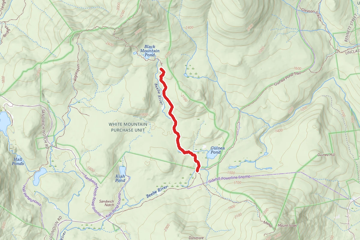 Black Mountain Pond Trail