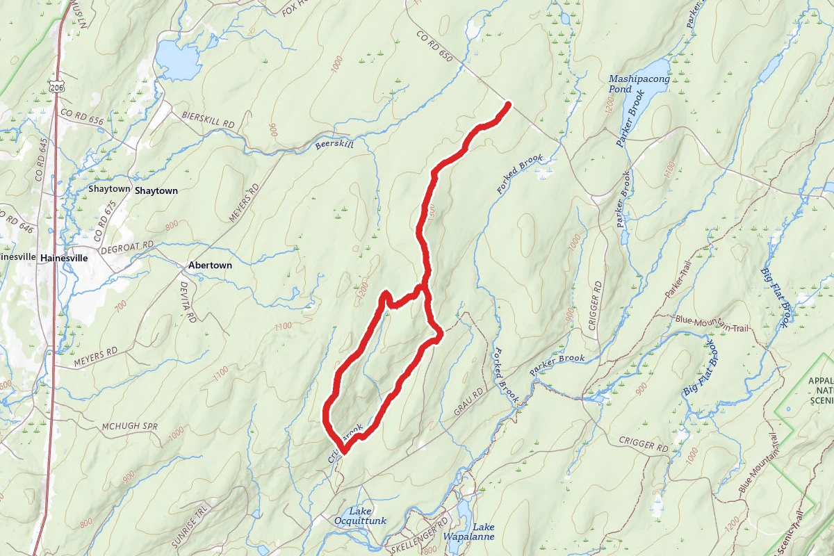 Criss Trail