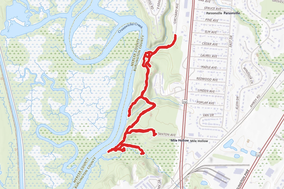Abbott Marshlands - Bordentown Bluffs