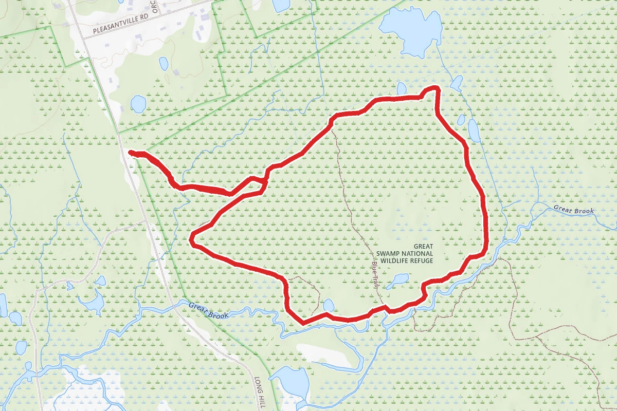 The Great Swamp Blue, Yellow and Ivory Trails
