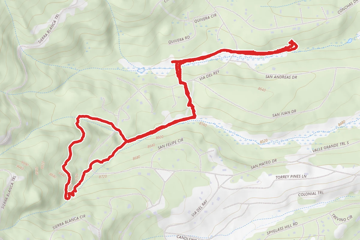 Deer, Elk, Bear, Lynx trails