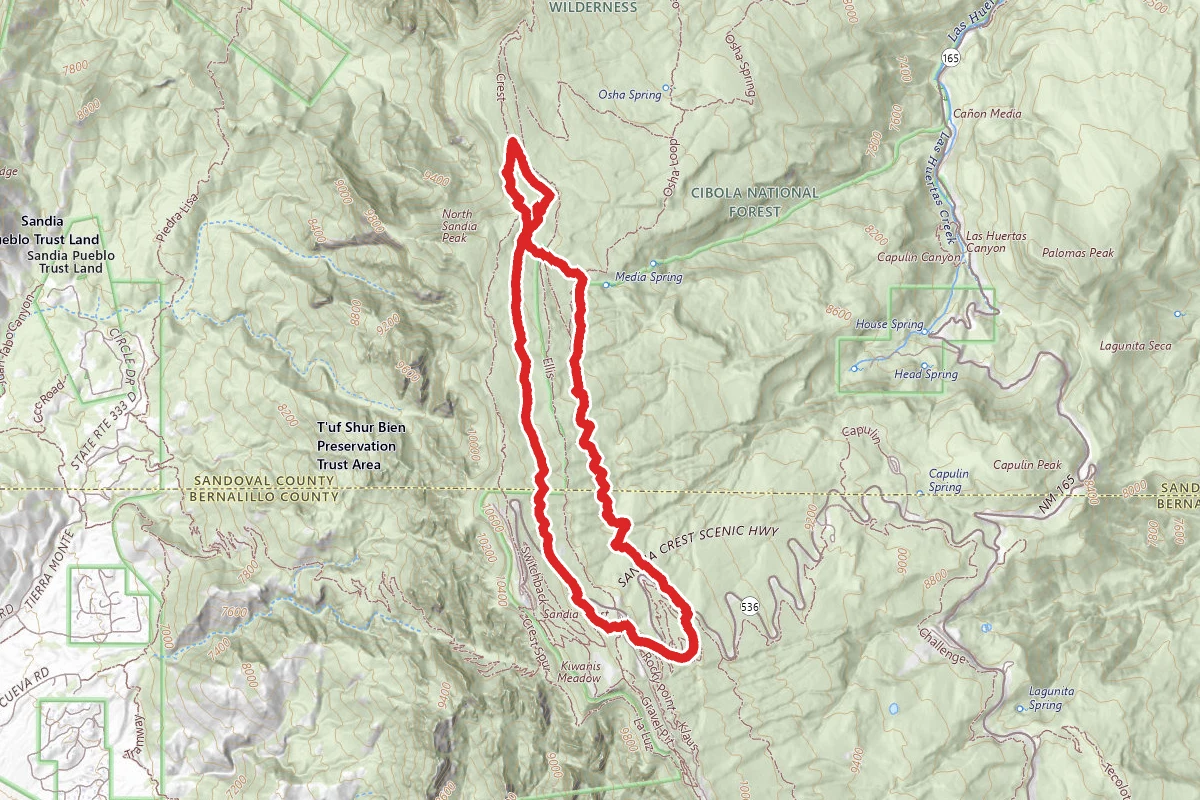 10K and Survey Loop