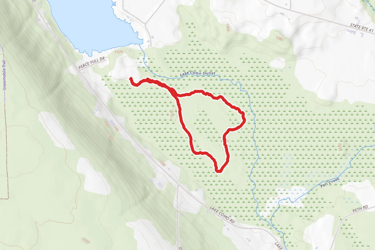 Dorothy McIlroy Bird Sanctuary Trails