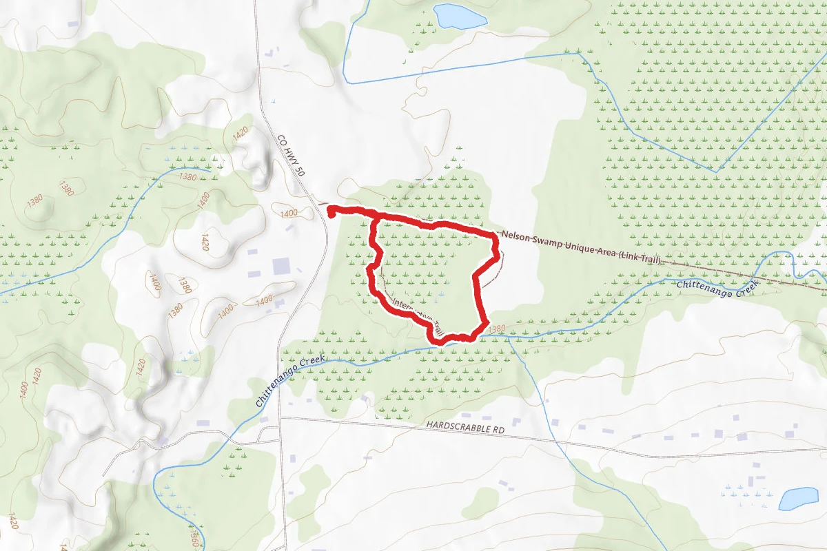 Nelson Swamp Nature Trail