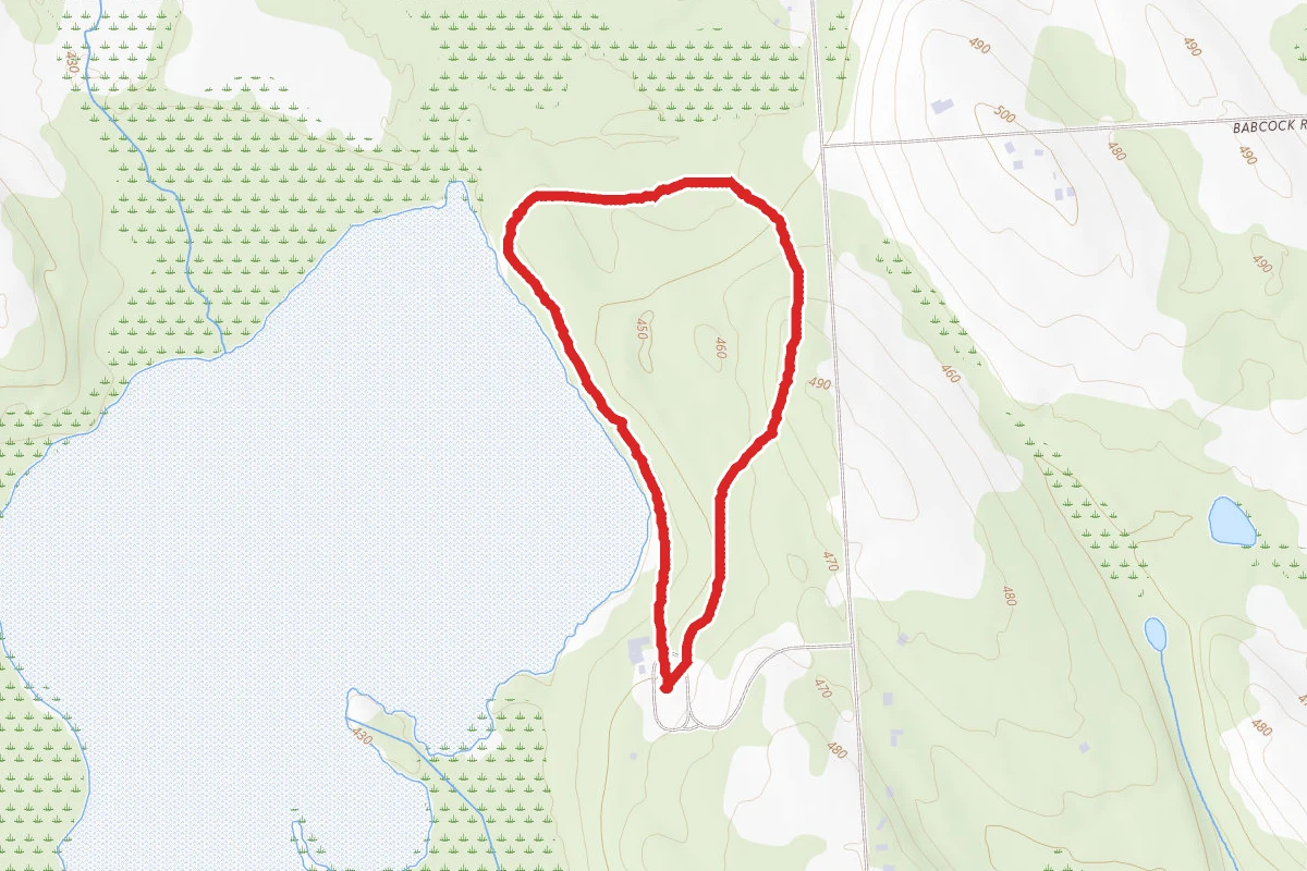 Deep Woods Loop
