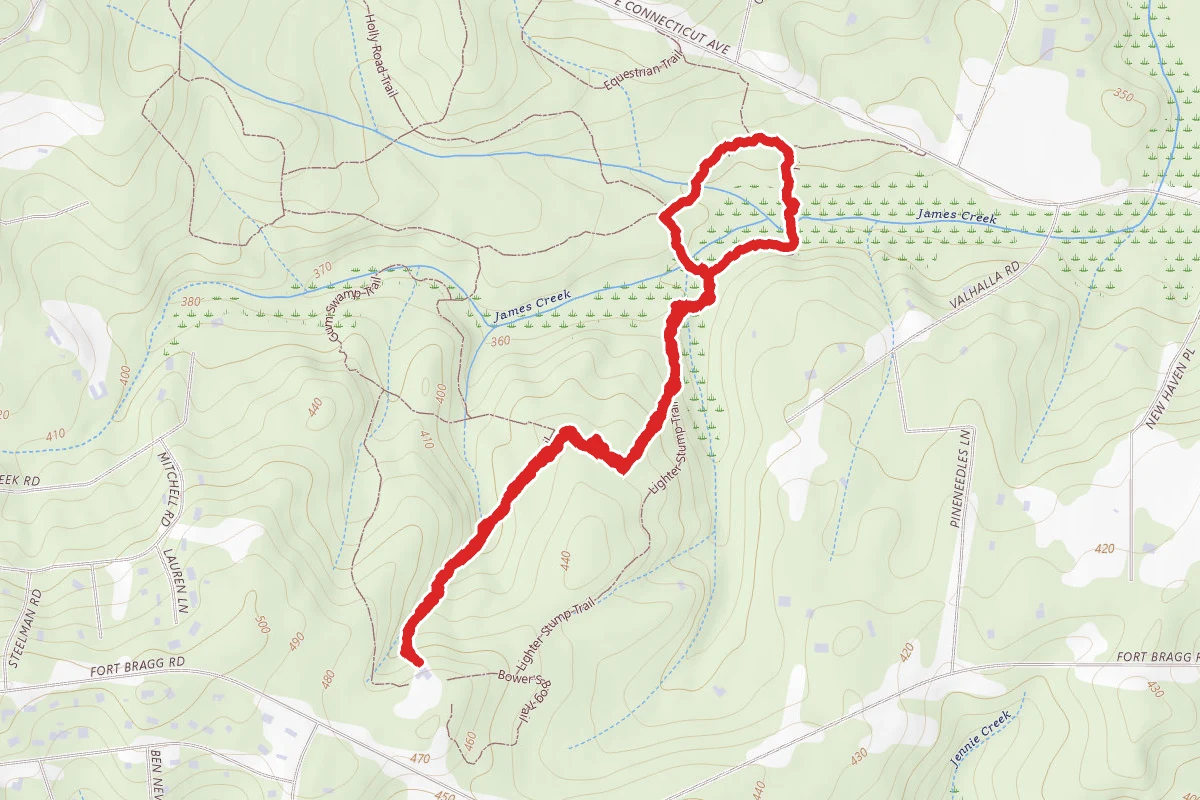Pine Barrens, Light Stump, and Pine Island Loop