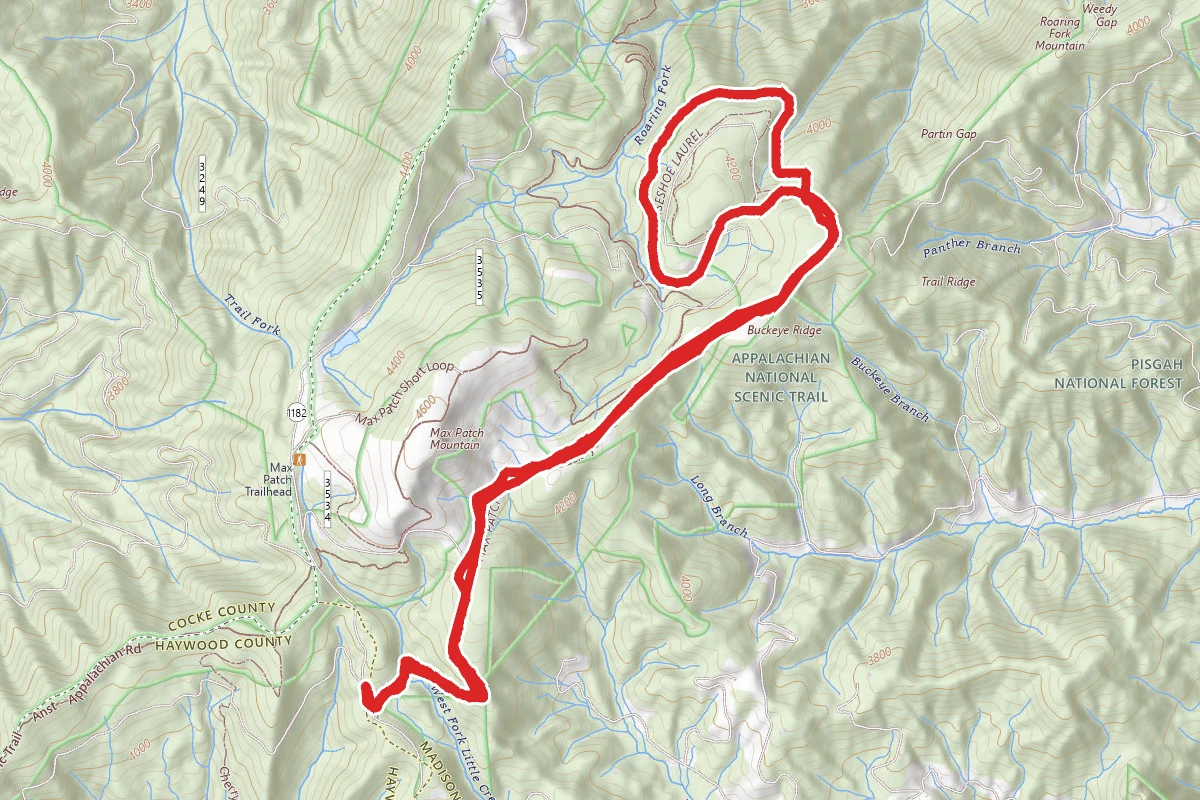 Pisgah Buckeye Ridge Trail