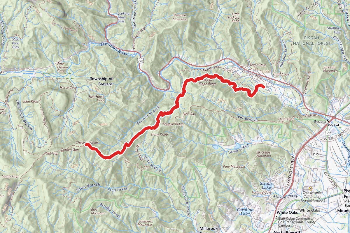 Chestnut Knob via Art Loeb Trail