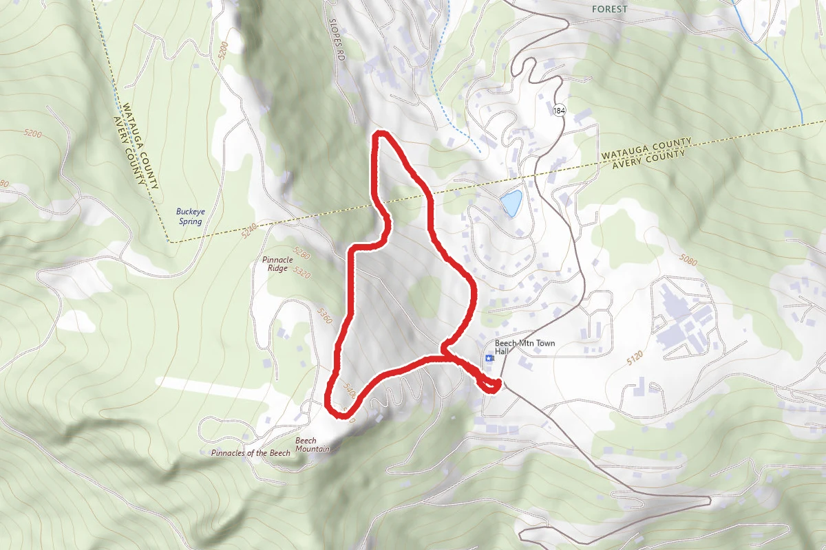 Beech Mountain Loop