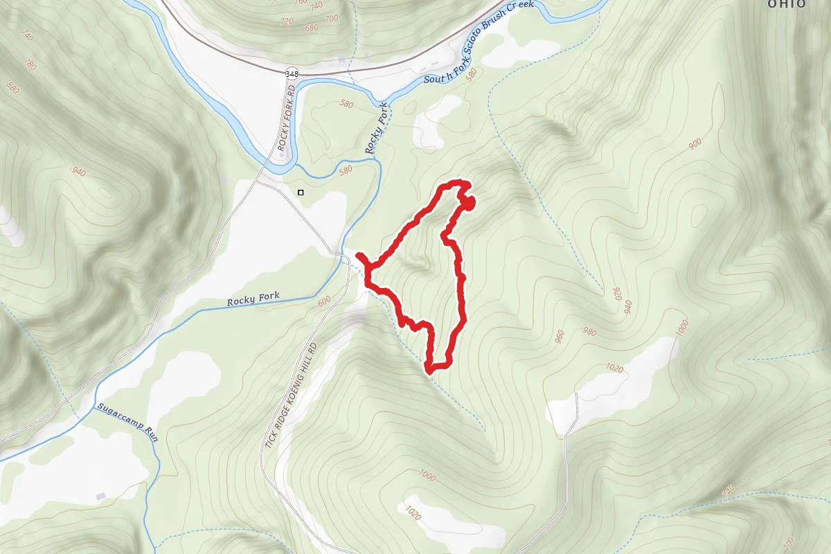 The Yellow Buckeye Trail