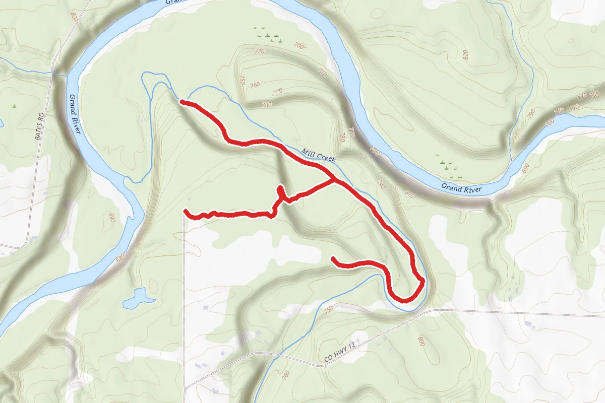 Bluebell Valley Path