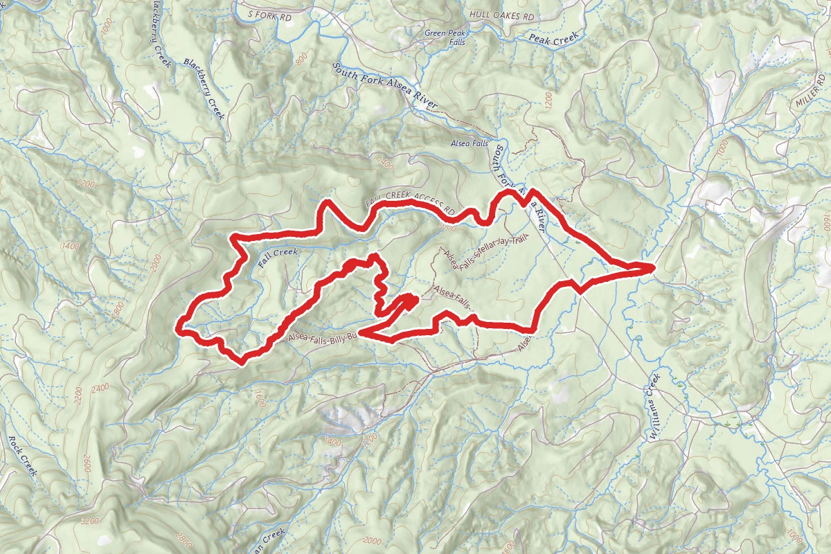 Alsea Falls Recreation Area Loop