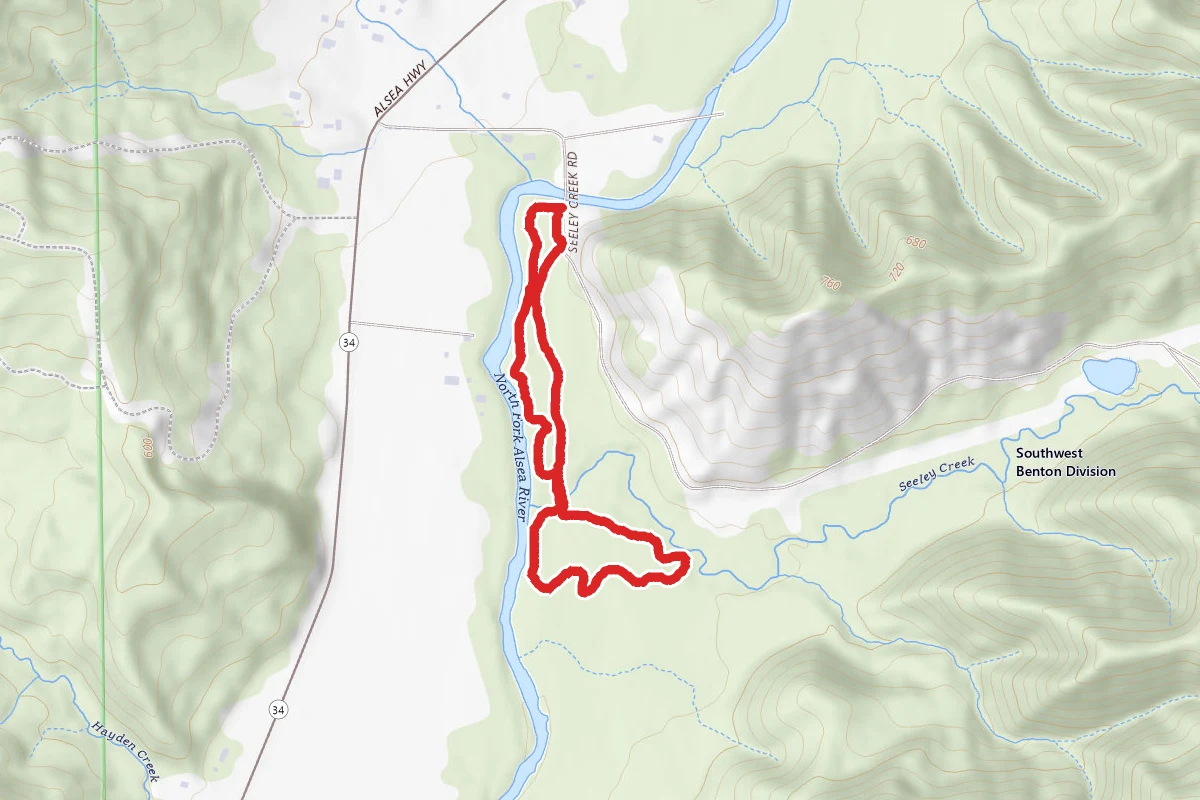 Alsea River Loop