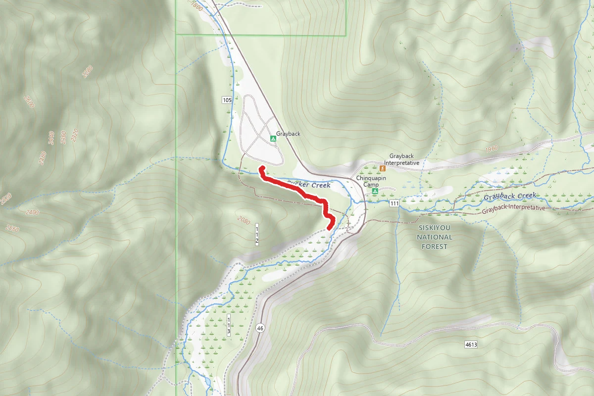 Grayback Interpretive Trail