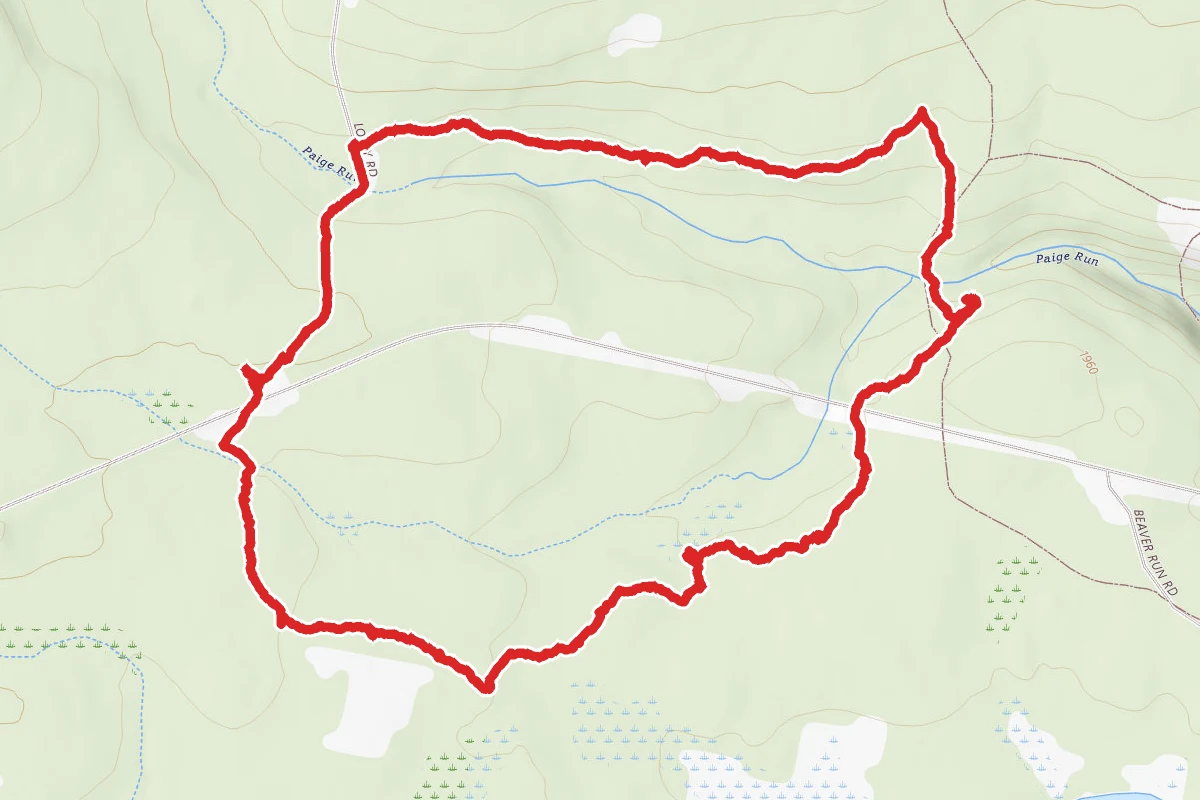 Marion Brooks Loop