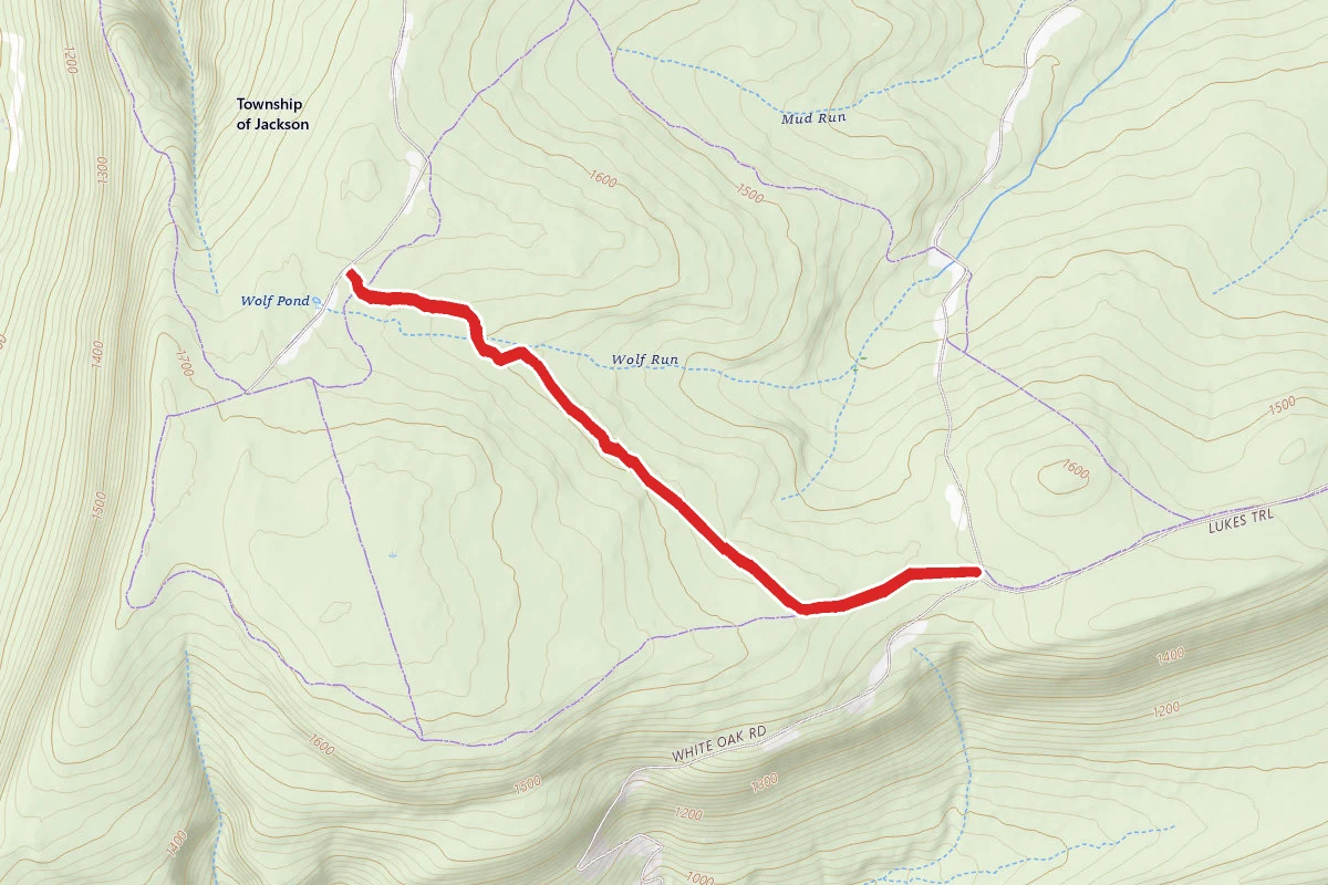Wolf Pond Trail