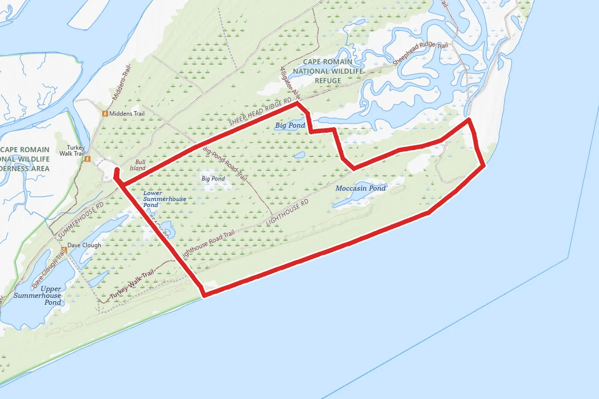 Bull Island