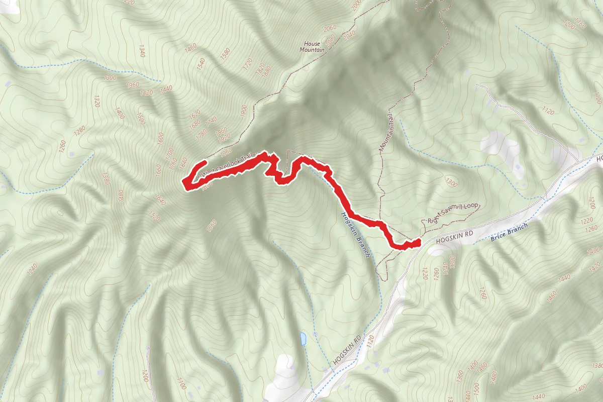 Hogskin Branch Trail