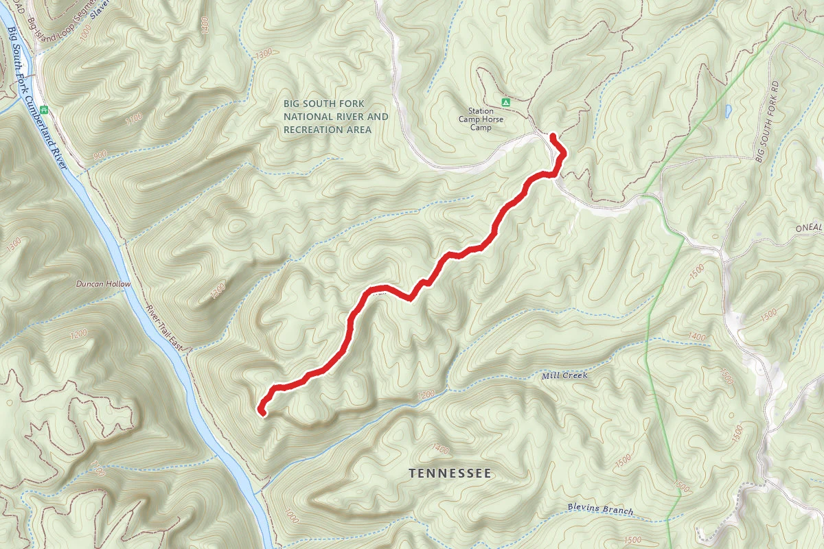 Bronco Overlook Trail
