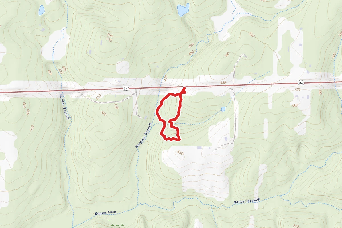 TFA Woodland Trail