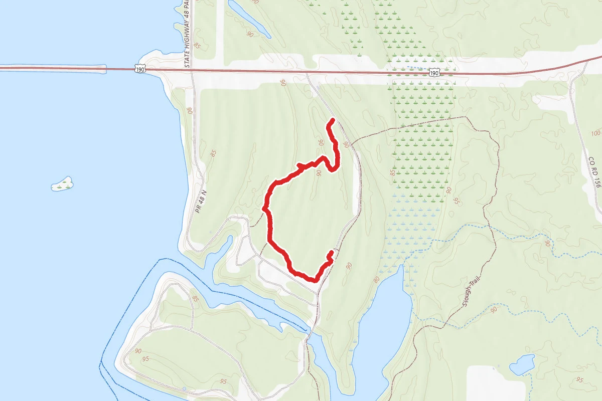 Martin Dies Jr. Forest Trail