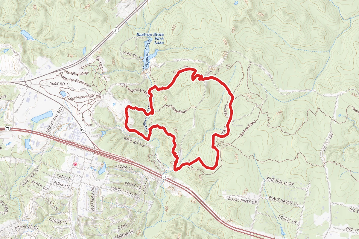 Piney Hill Spur and Lost Pines Trail Loop