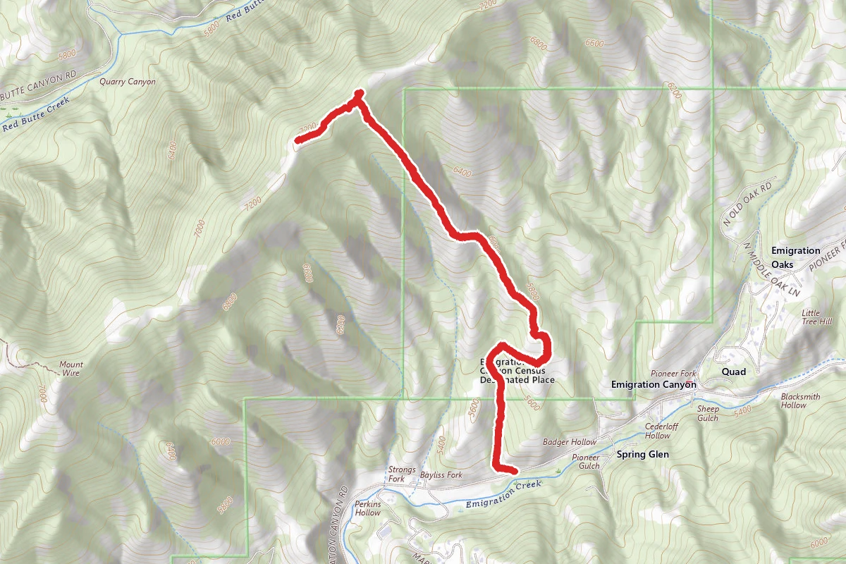 Bayliss Fork Trail