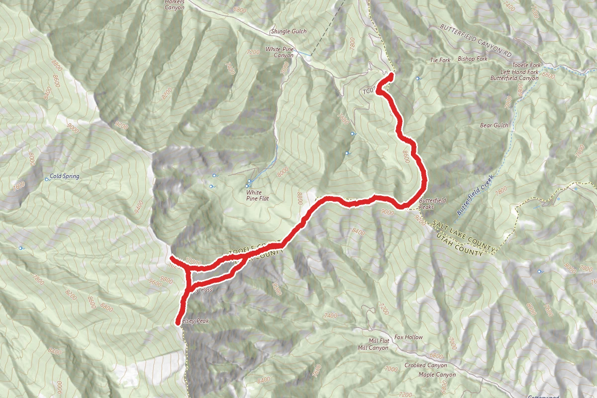 White Pine Peak and Kelsey Peak