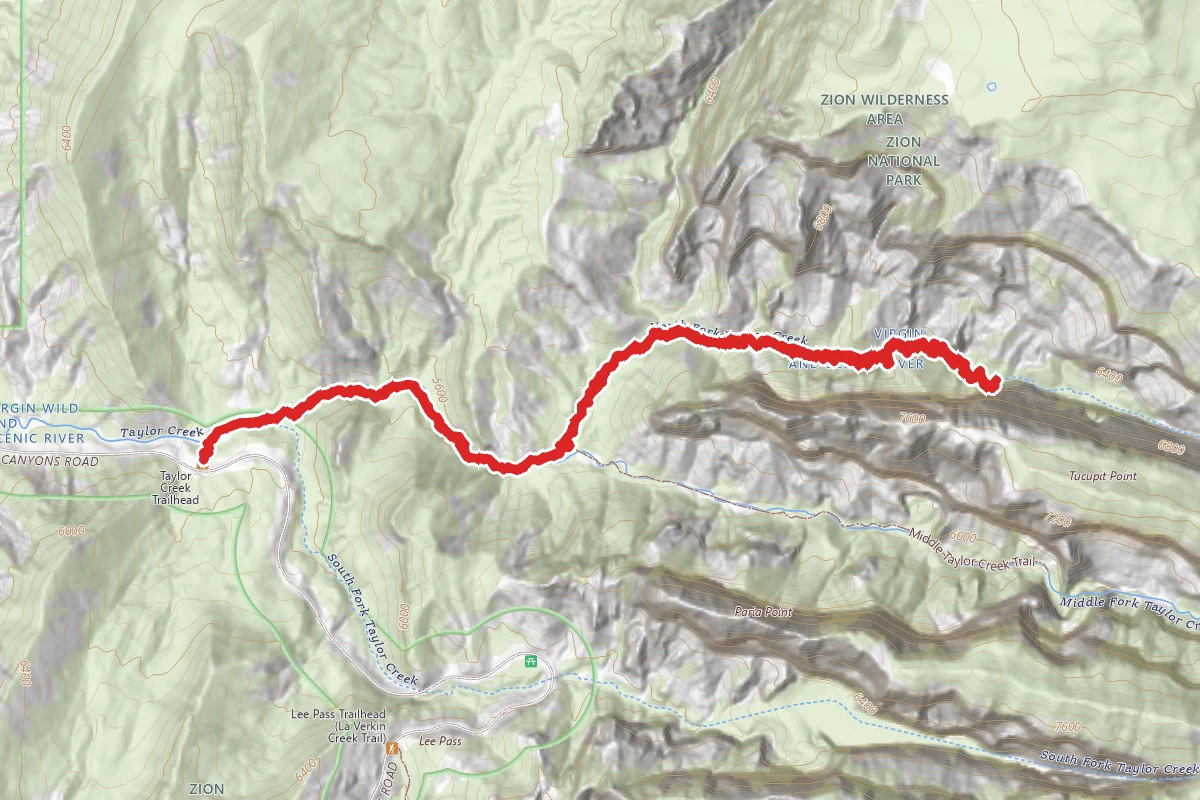 North Fork Taylor Creek