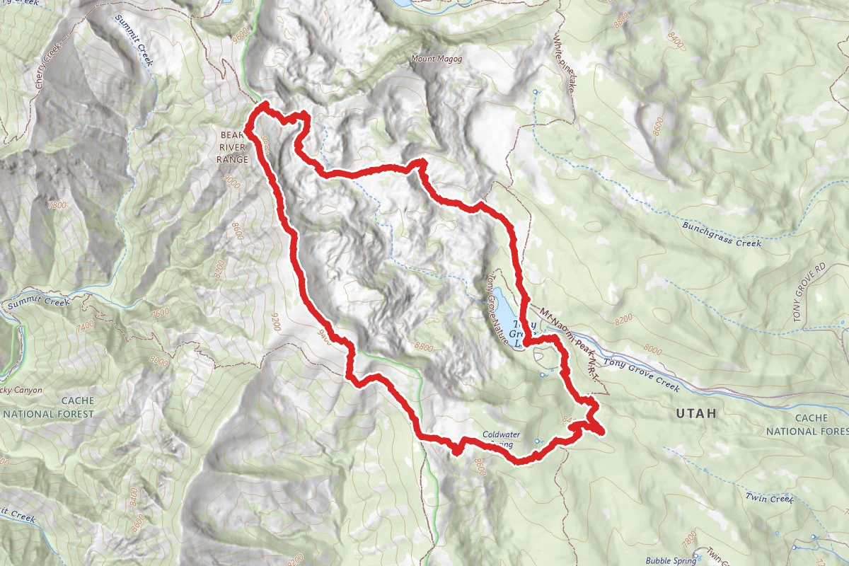 Naomi Peak Loop