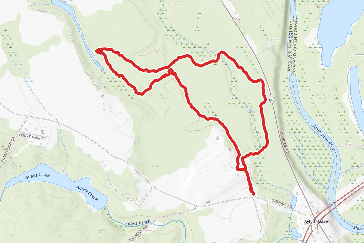 Zoar State Forest South