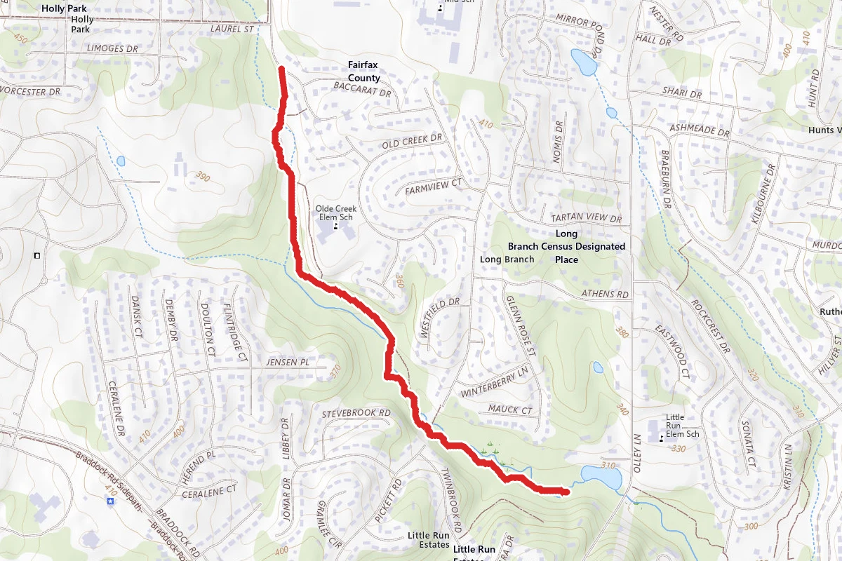 Long Branch Stream Walk