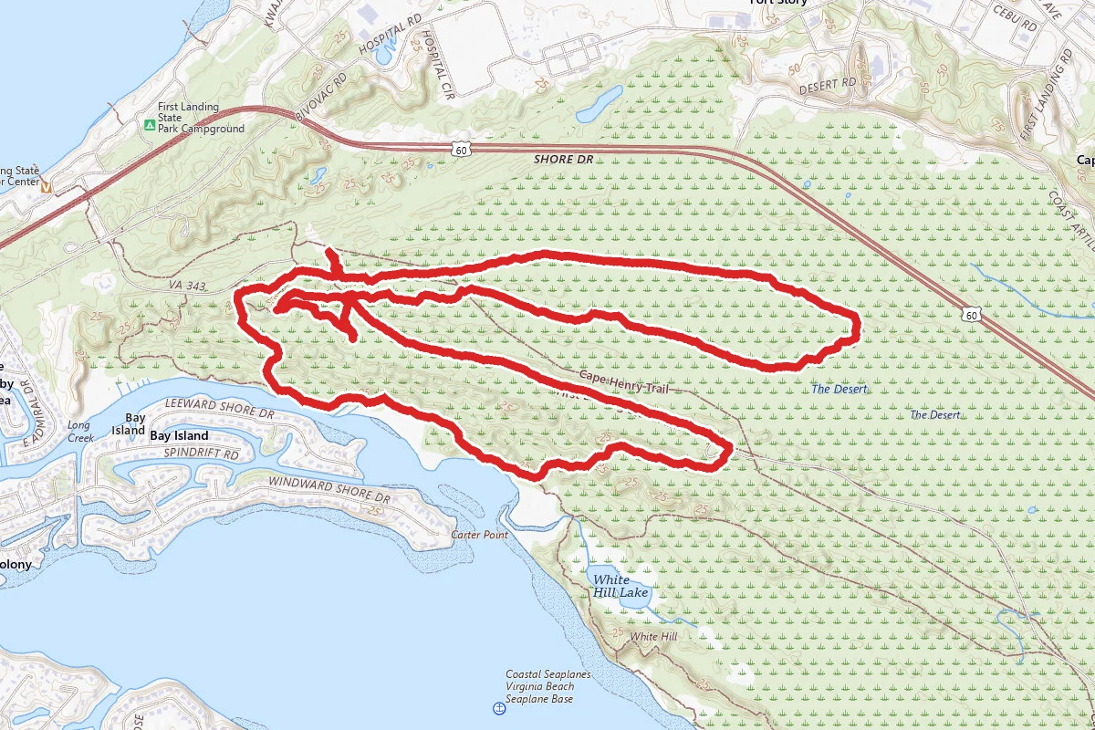 Osmanthus Trail, Bald Cypress, High Dune, Cape Henry, Long Creek, Fox Trail