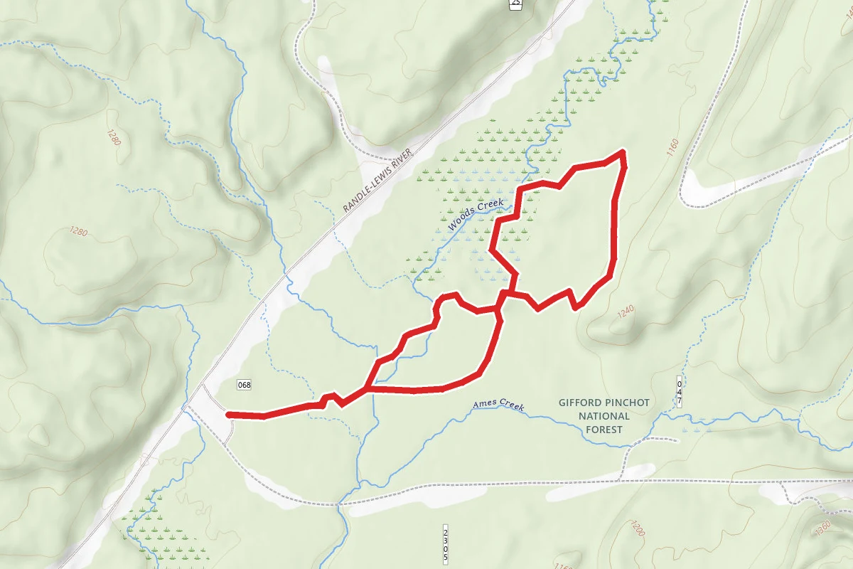 Oldgrowth Loop Trail