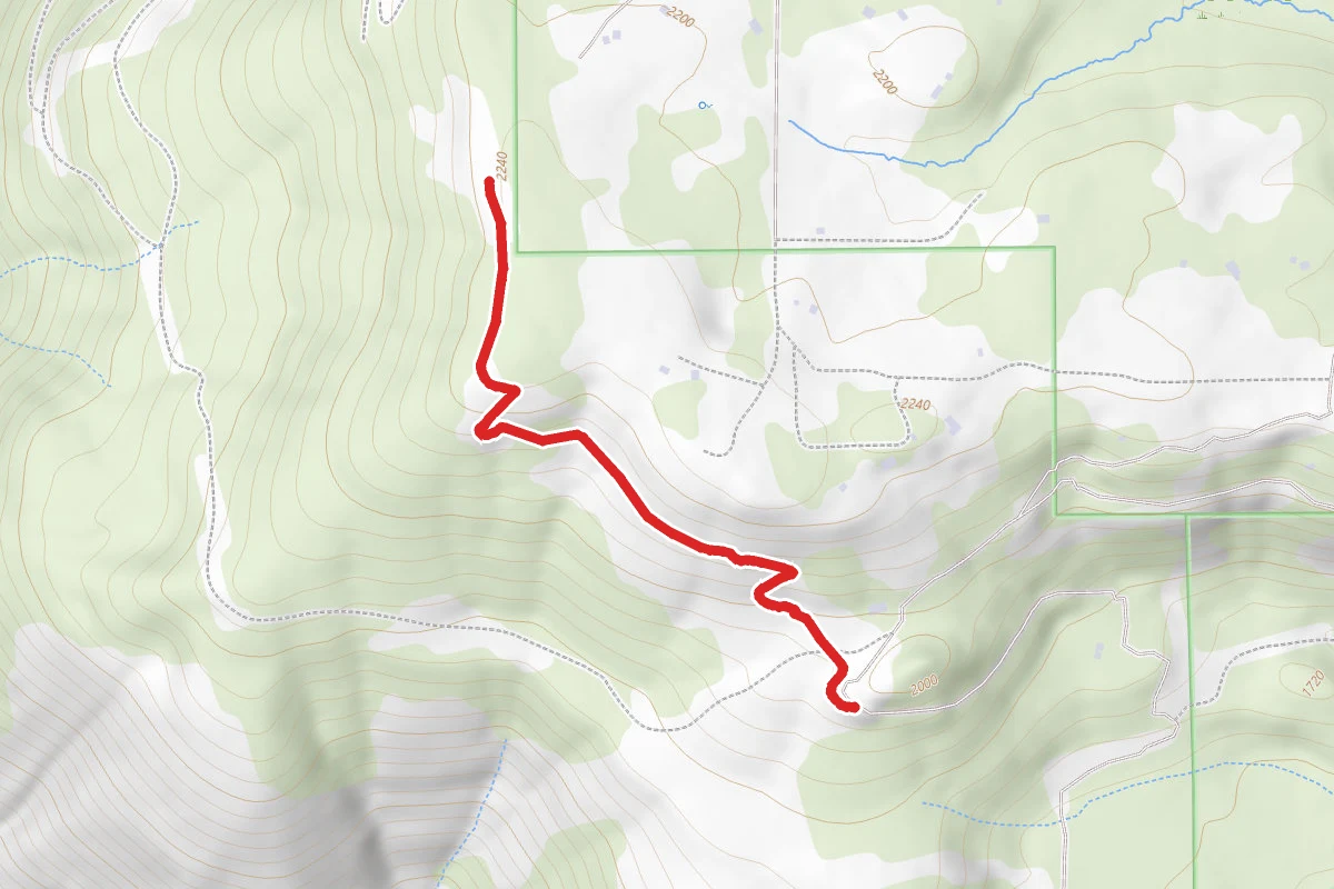 Burdoin Overlook Trail