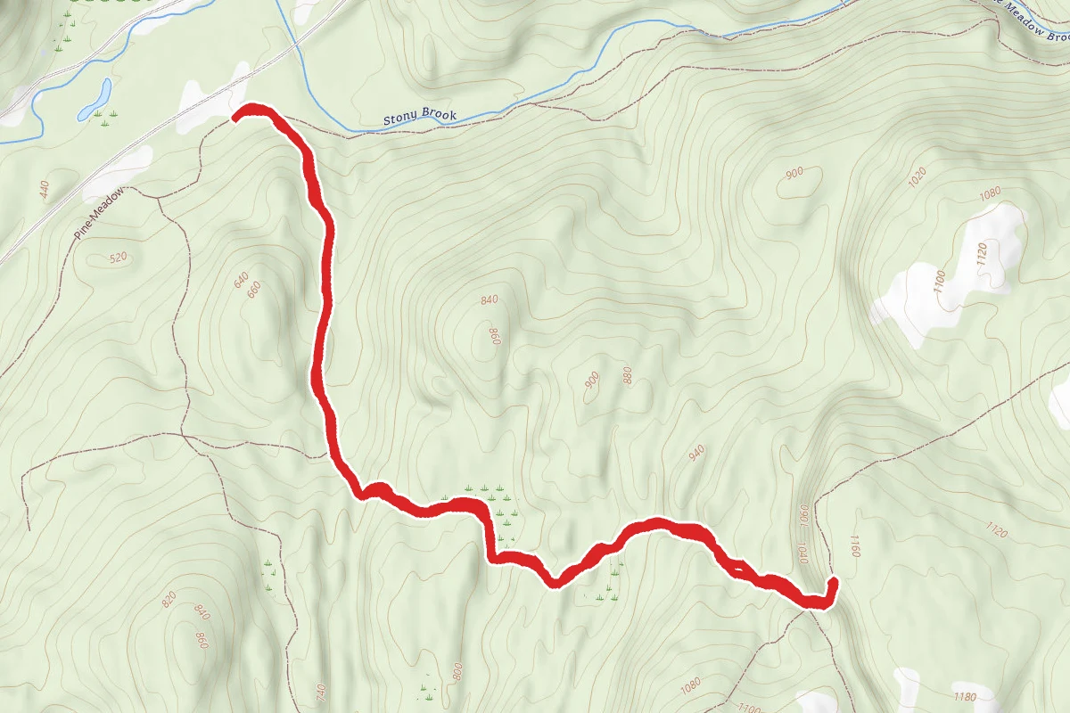 Reeve's Brook Trail