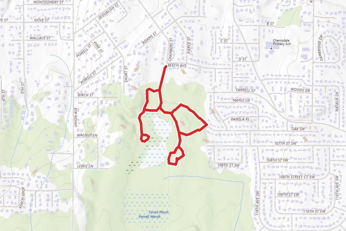Farrell Marsh Loop