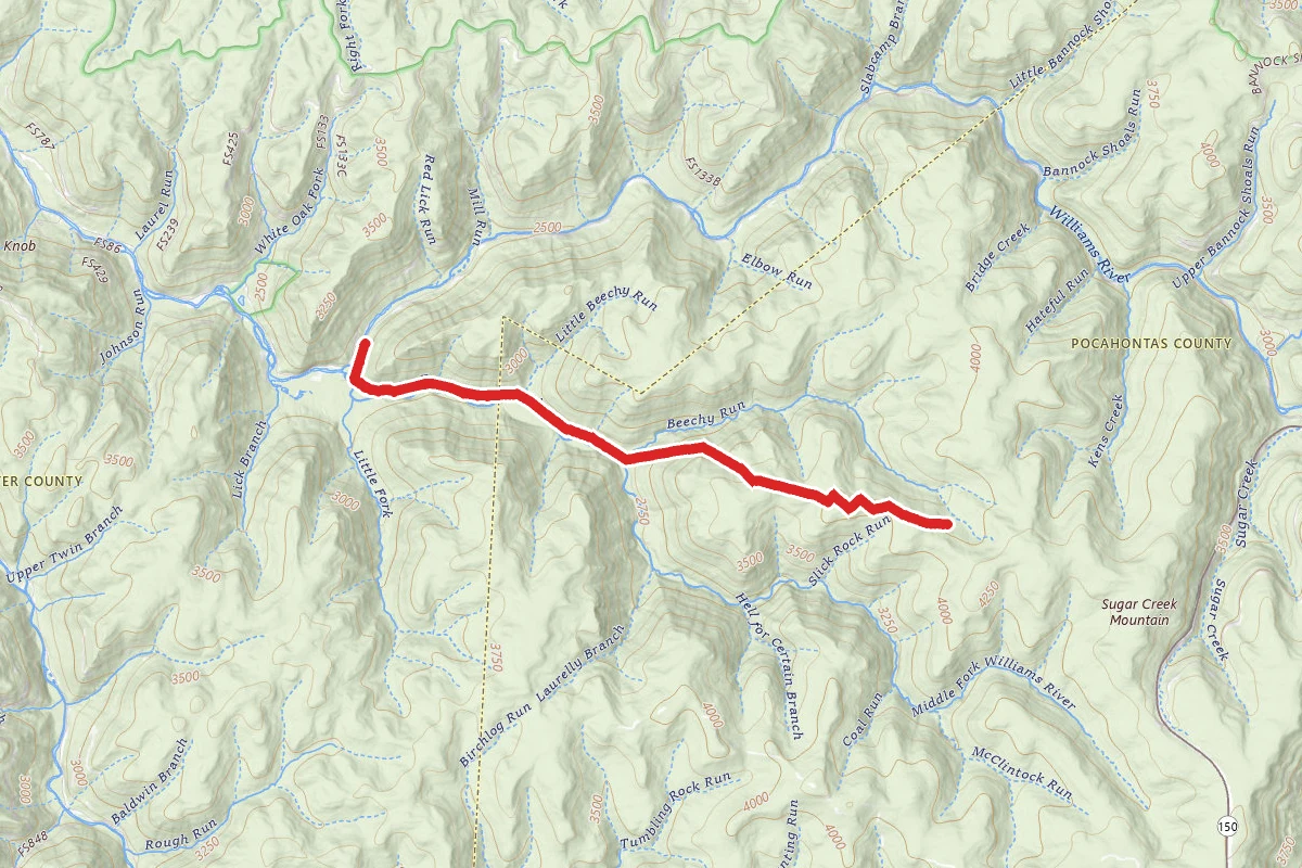 Big Beechy Trail