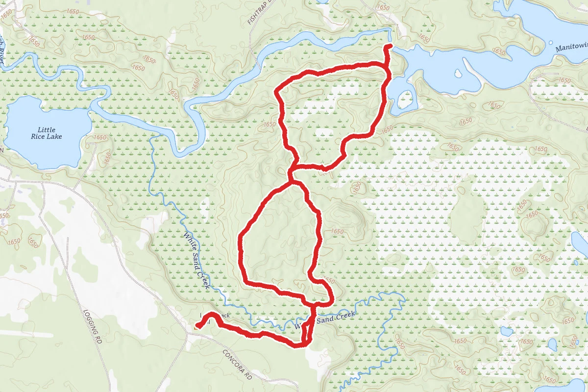 Lumberjack Trail Loop