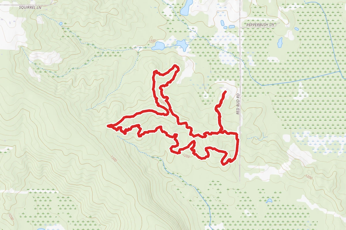Up North, Outbound, Root Canal Loop