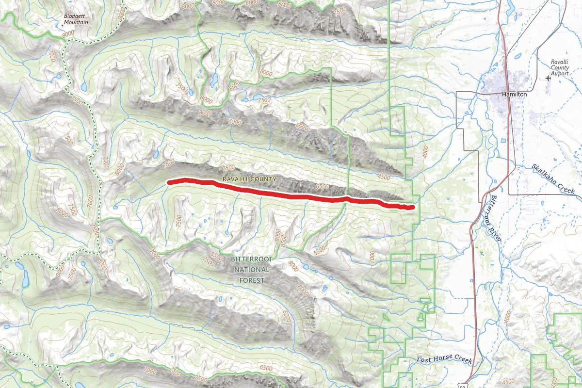 Roaring Lion Creek