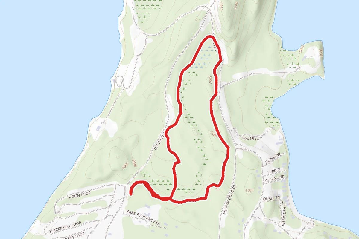 Meadow Marsh Loop