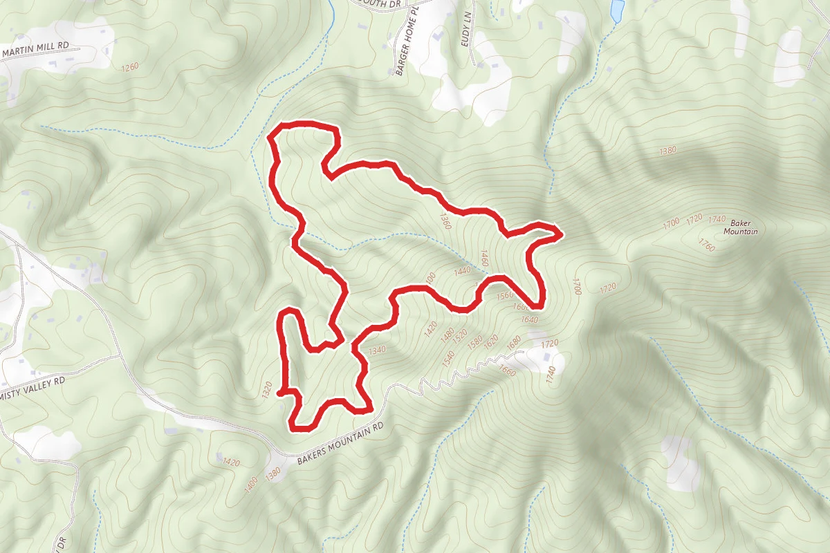 Bakers Mountain Loop Hike
