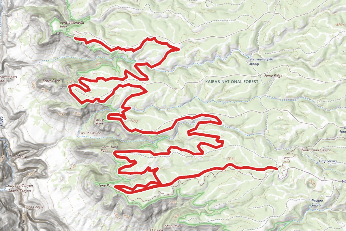 Rainbow Rim Trail #10