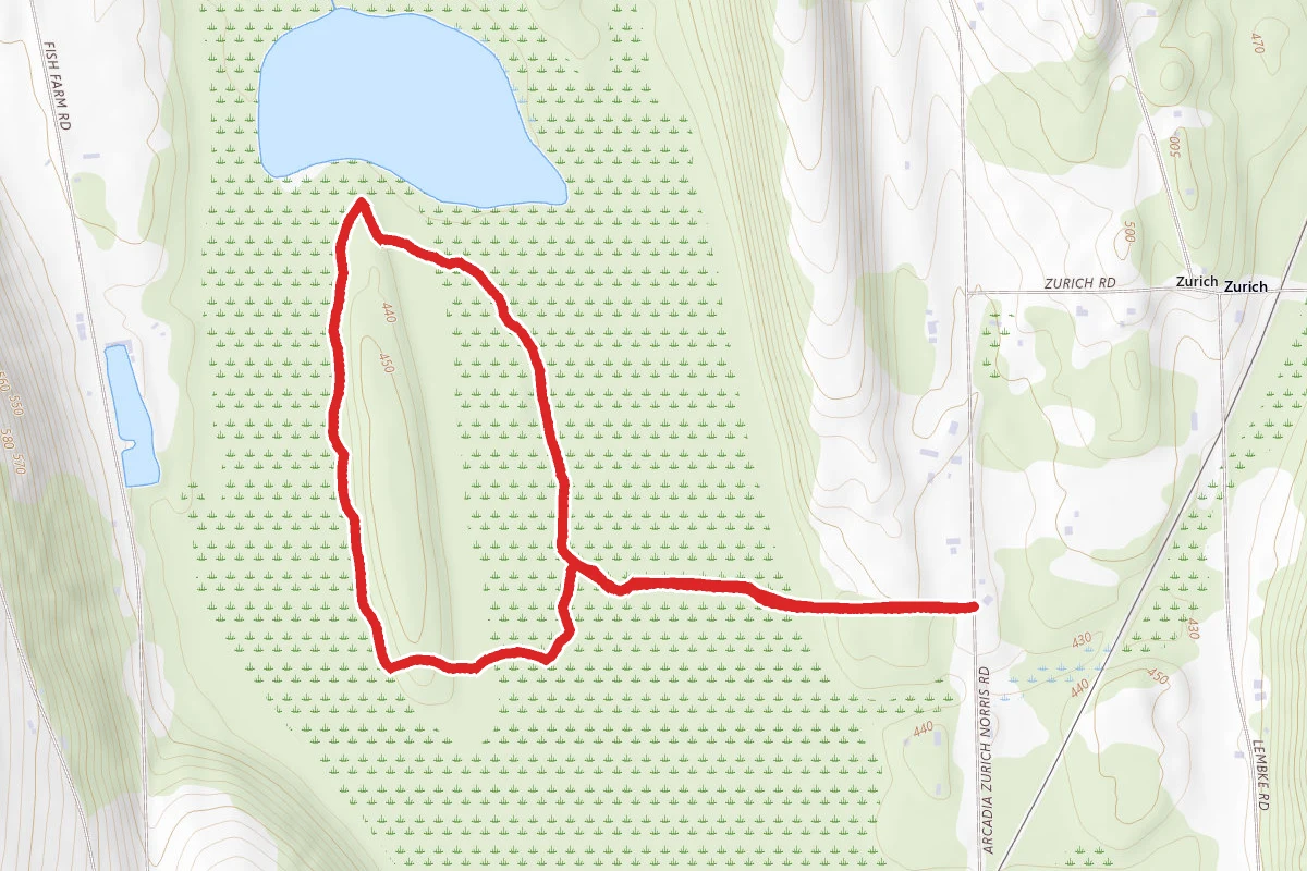 Zurich Bog Trail