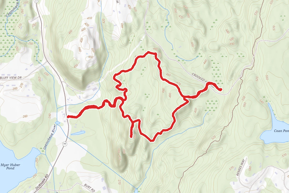 Lone Pine Trail and Ridge Trail Loop